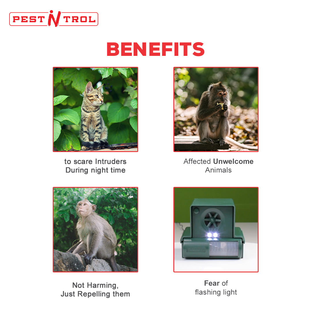 Animal Repeller for 200-400 Sq. Ft. LS-987F