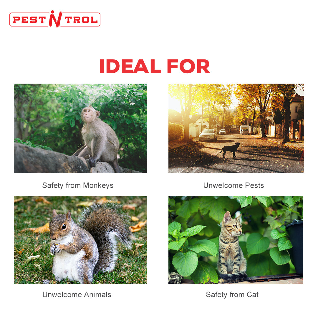 Animal Repeller for 200-400 Sq. Ft. LS-987F