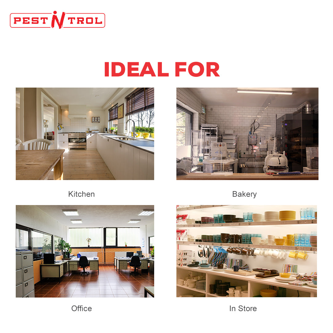 5 in 1 Pest Repeller for up to 250 Sq. Ft. - Pest-N-Trol