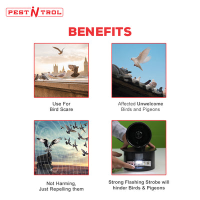 Bird & Pigeon Repeller for 1000 Sq. Ft. - Pest-N-Trol LS-2021
